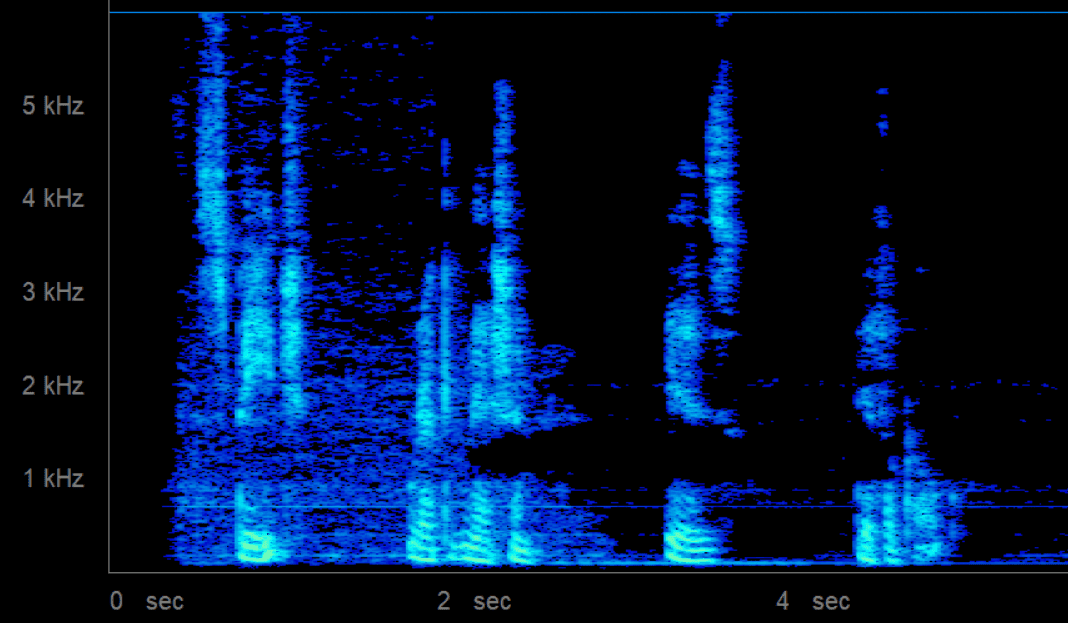 Speech recognition: spectrogram of speech with pauses